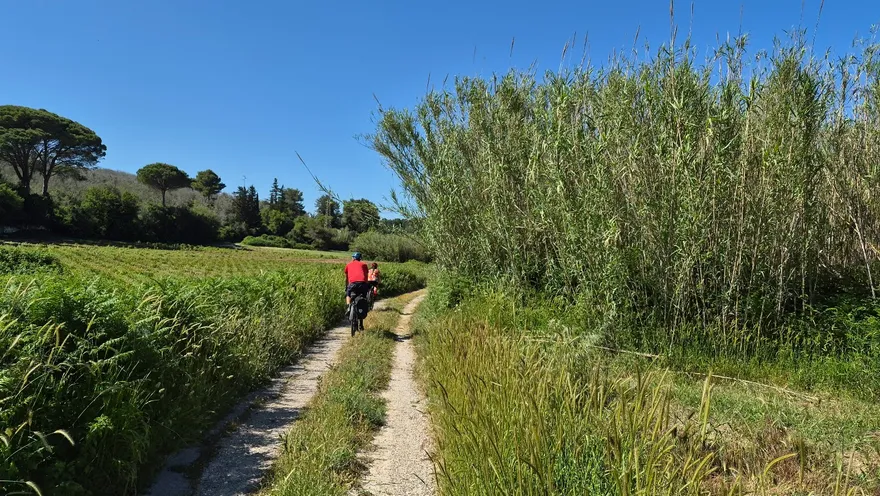 La verde Valle dell'Idro (Otranto)