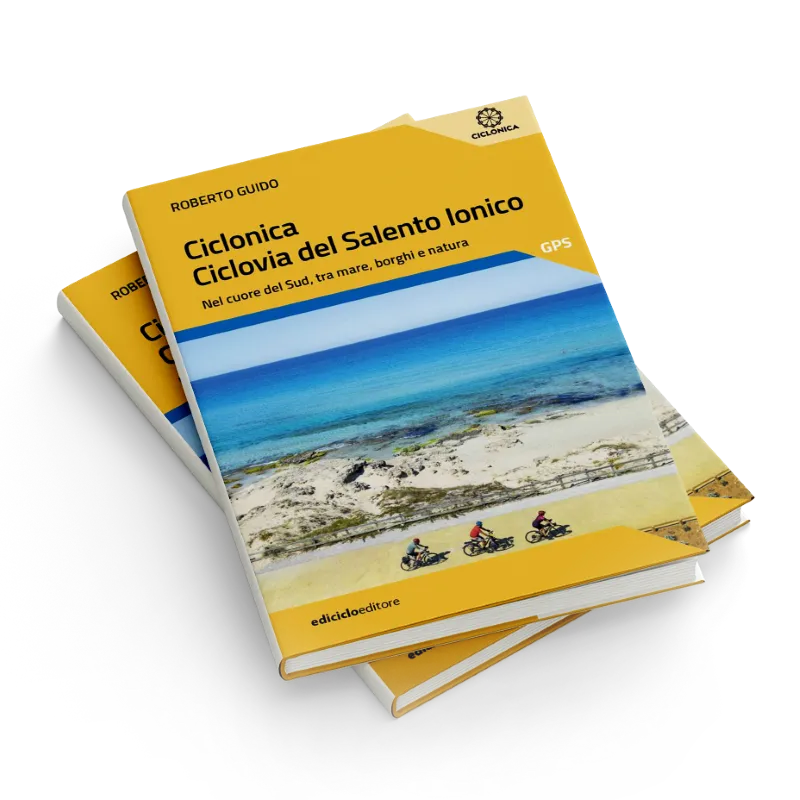 Ciclonica
