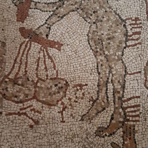 Il mosaico della Cattedrale di Otranto